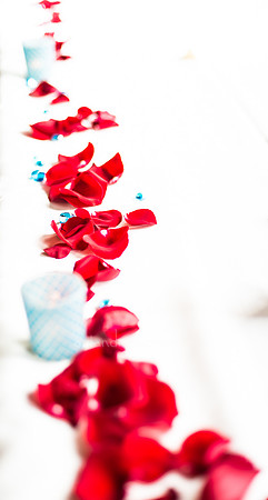 Copyright Dyuti Majumdar All rights reserved
