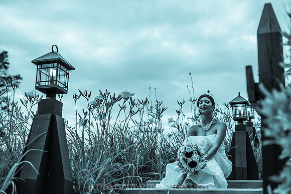 Copyright Dyuti Majumdar All rights reserved