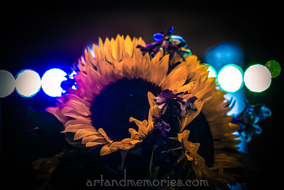 Copyright Dyuti Majumdar All rights reserved