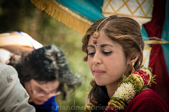 Copyright Dyuti Majumdar All rights reserved
