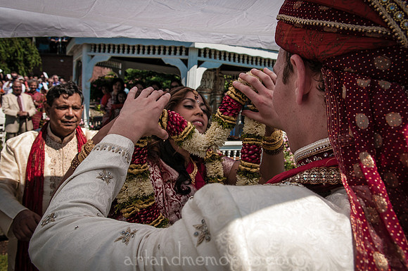 Copyright Dyuti Majumdar All rights reserved