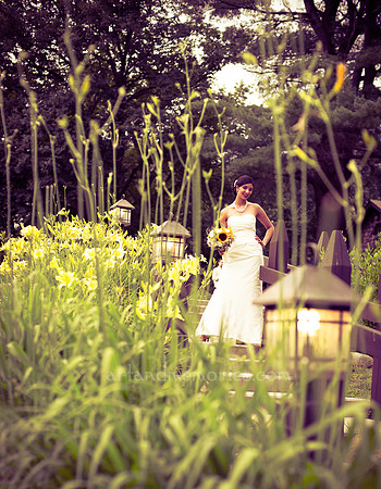 Copyright Dyuti Majumdar All rights reserved