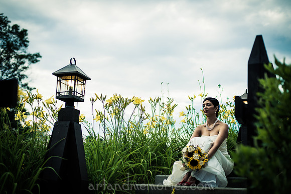 Copyright Dyuti Majumdar All rights reserved