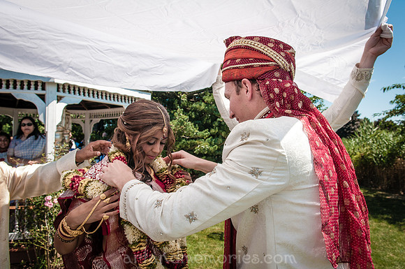 Copyright Dyuti Majumdar All rights reserved