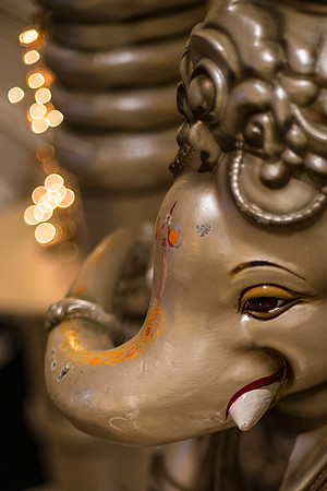 Copyright Dyuti Majumdar All rights reserved
